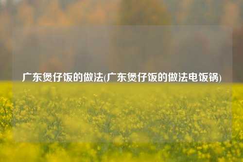 广东煲仔饭的做法(广东煲仔饭的做法电饭锅)