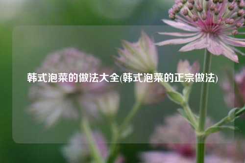 韩式泡菜的做法大全(韩式泡菜的正宗做法)