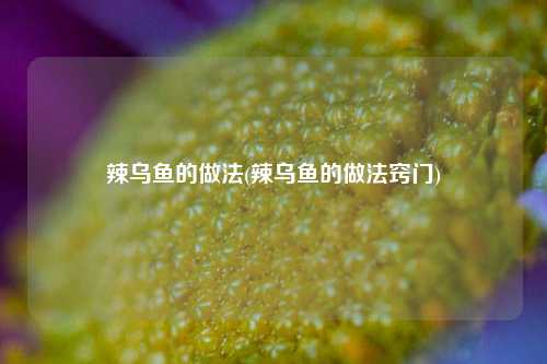 辣乌鱼的做法(辣乌鱼的做法窍门)