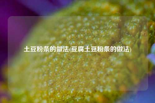 土豆粉条的做法(豆腐土豆粉条的做法)