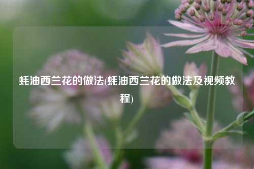 蚝油西兰花的做法(蚝油西兰花的做法及视频教程)