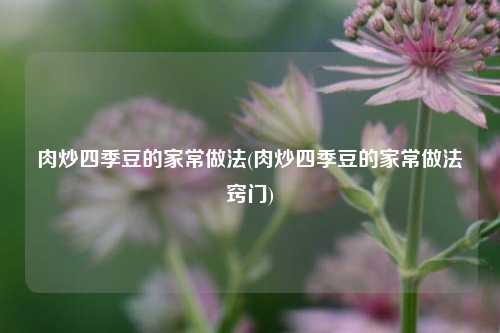 肉炒四季豆的家常做法(肉炒四季豆的家常做法窍门)