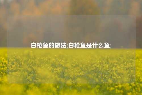 白枪鱼的做法(白枪鱼是什么鱼)
