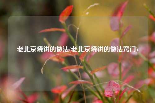老北京烧饼的做法(老北京烧饼的做法窍门)