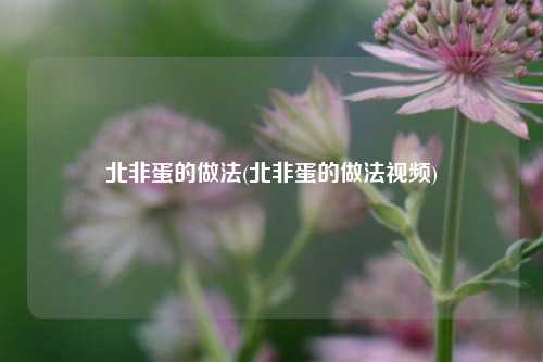 北非蛋的做法(北非蛋的做法视频)