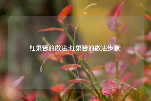 红果酱的做法(红果酱的做法步骤)