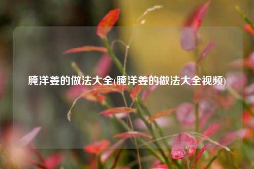 腌洋姜的做法大全(腌洋姜的做法大全视频)