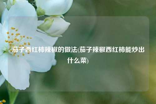茄子西红柿辣椒的做法(茄子辣椒西红柿能炒出什么菜)