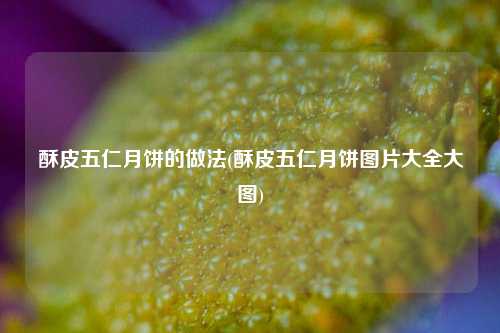 酥皮五仁月饼的做法(酥皮五仁月饼图片大全大图)