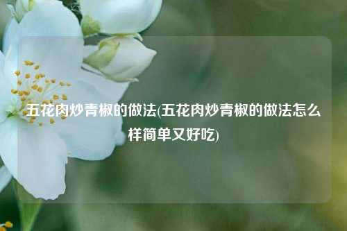 五花肉炒青椒的做法(五花肉炒青椒的做法怎么样简单又好吃)