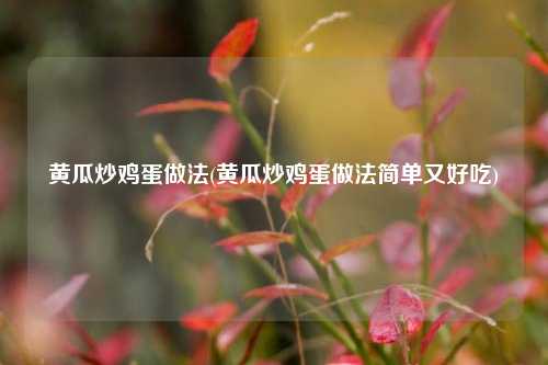 黄瓜炒鸡蛋做法(黄瓜炒鸡蛋做法简单又好吃)