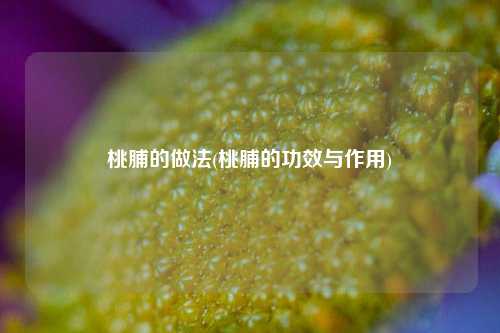 桃脯的做法(桃脯的功效与作用)